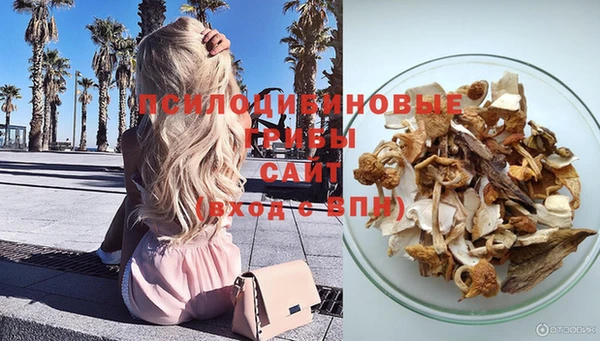 амф Абинск